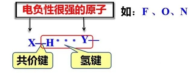 氢键最全的知识点及其应用 氢键最全的知识点及其应用