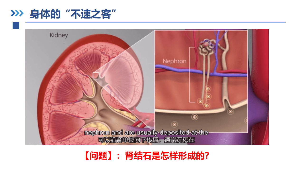 《肾脏里的化学博弈—沉淀溶解平衡第1课时》省级化学优质课竞赛PPT课件下载