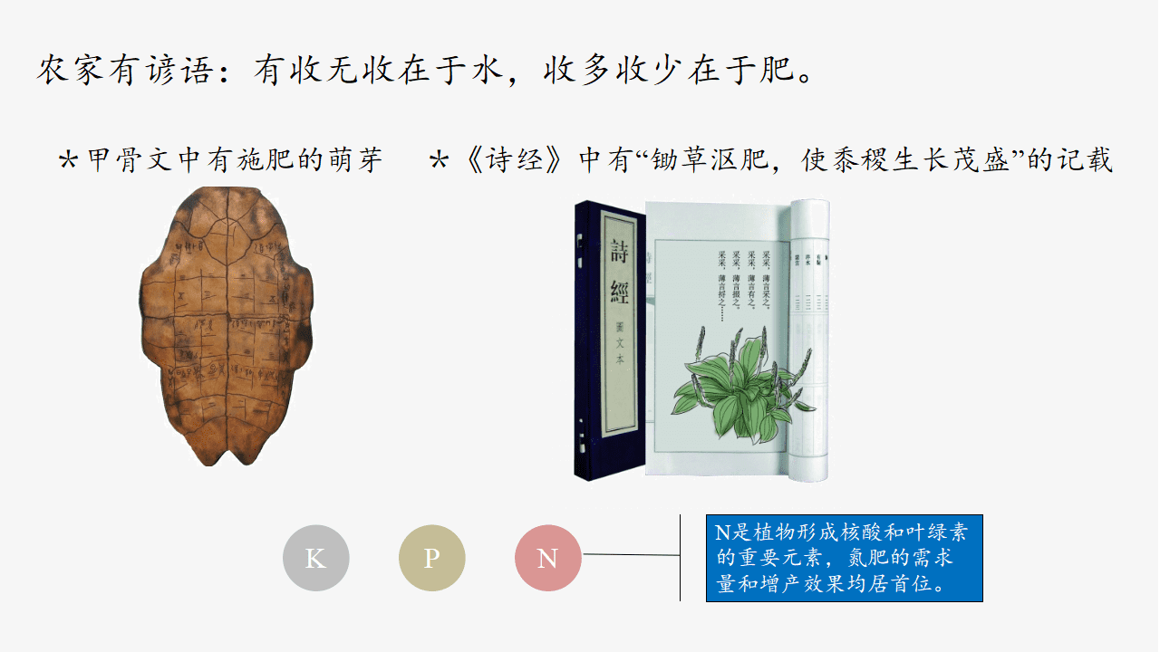 课件-2026年省级优质课比赛课件《化学反应的限度》PPT文件下载