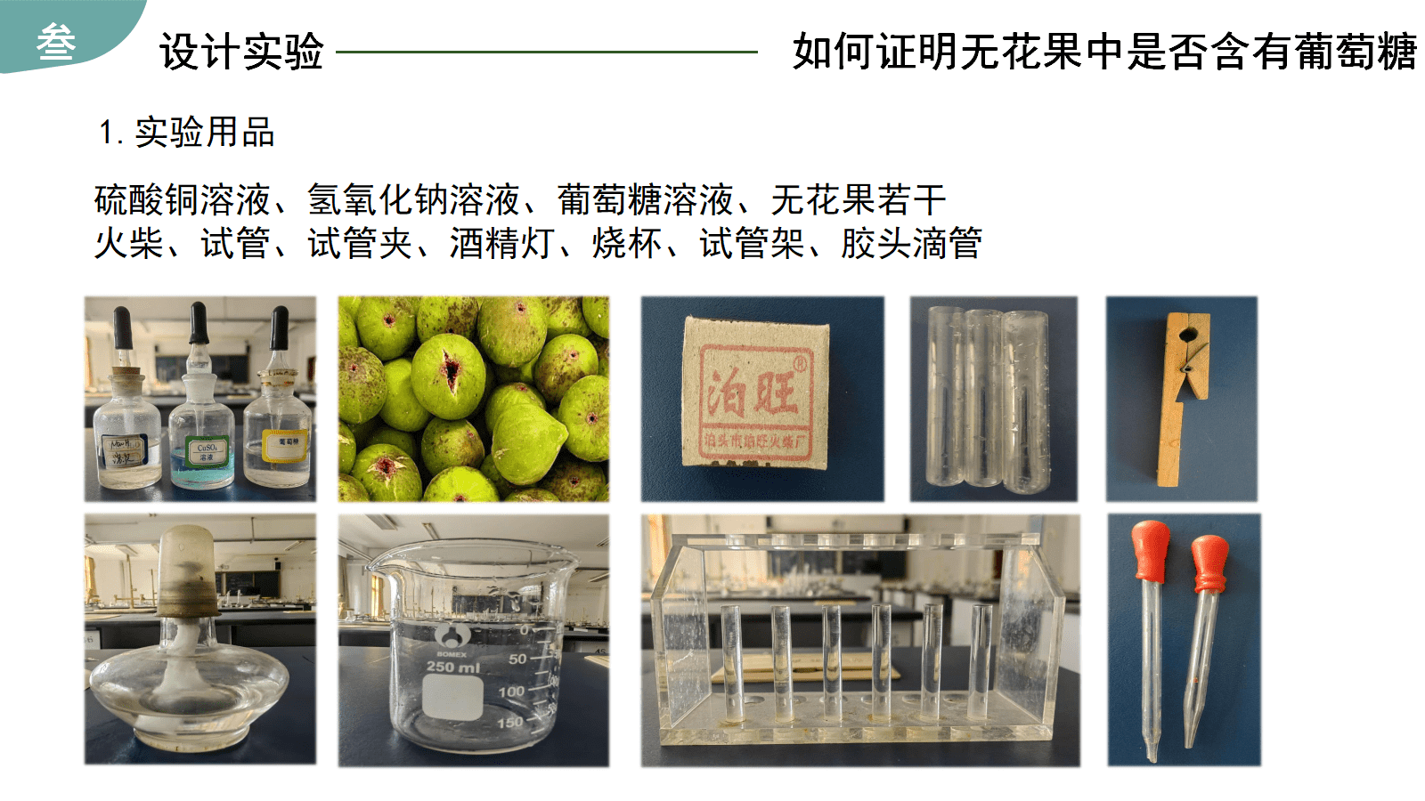 省级高中化学项目式学习优质课件《揭秘金果果—无花果中的糖》