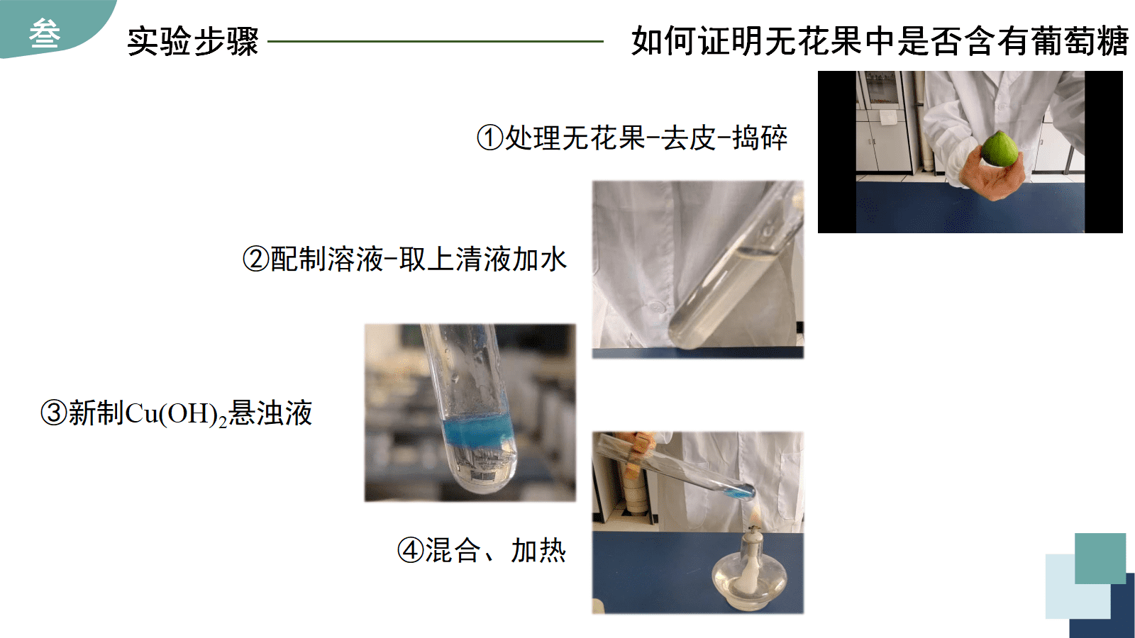 省级高中化学项目式学习优质课件《揭秘金果果—无花果中的糖》