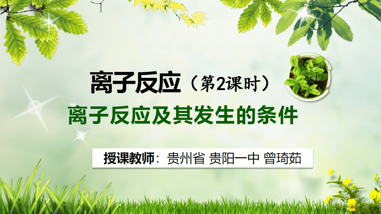 全国高中化学优质课大赛获奖说播课《离子反应》视频和课件资料