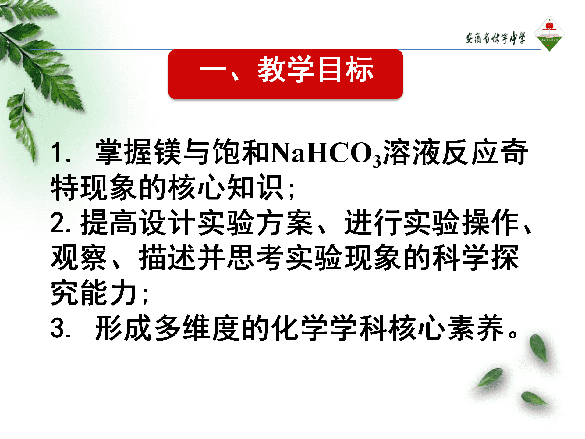 全国高中化学优质课大赛《探秘镁与碳酸氢钠溶液反应的奇特现象》说播课课件