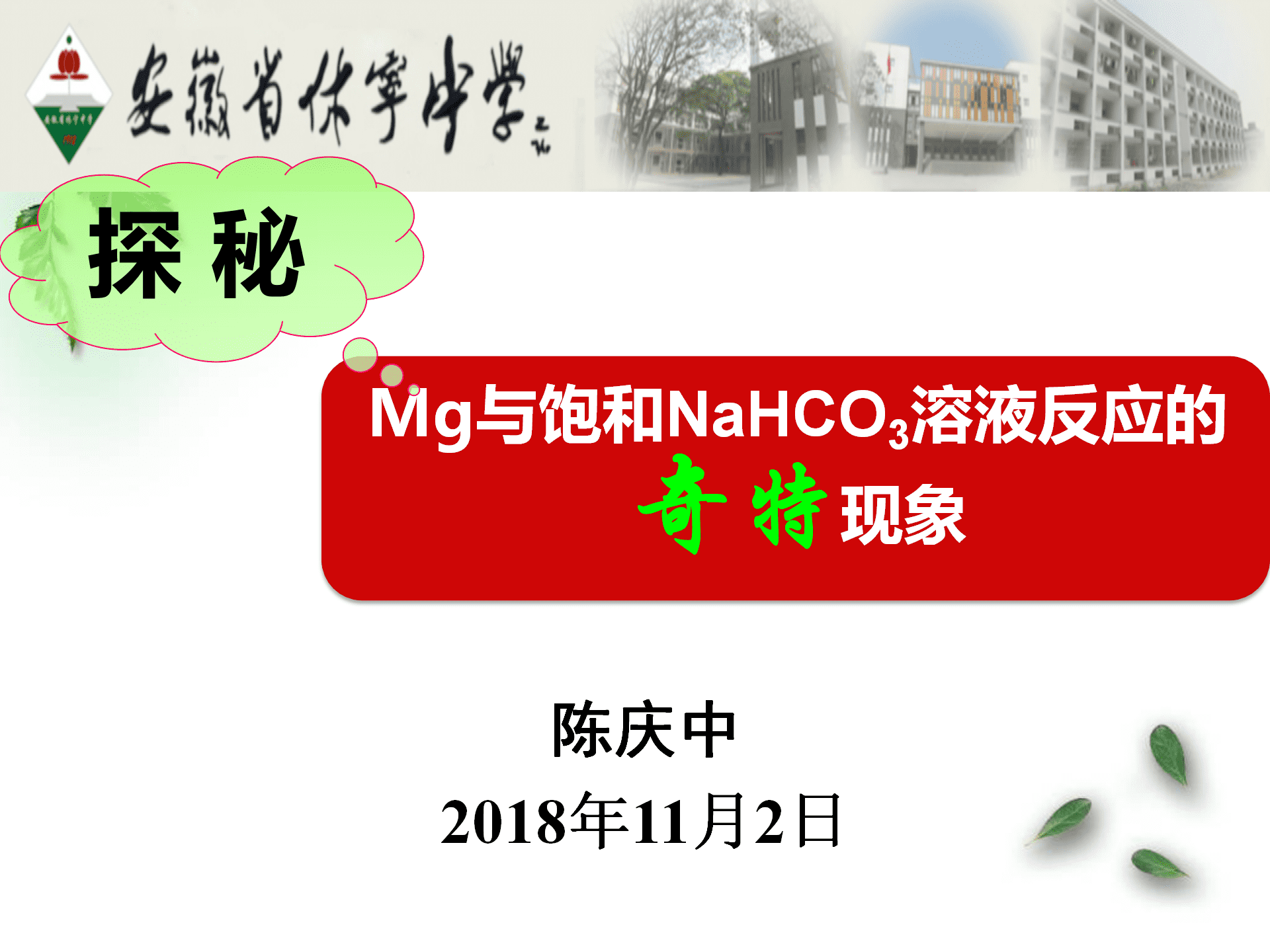 全国高中化学优质课大赛《探秘镁与碳酸氢钠溶液反应的奇特现象》说播课课件