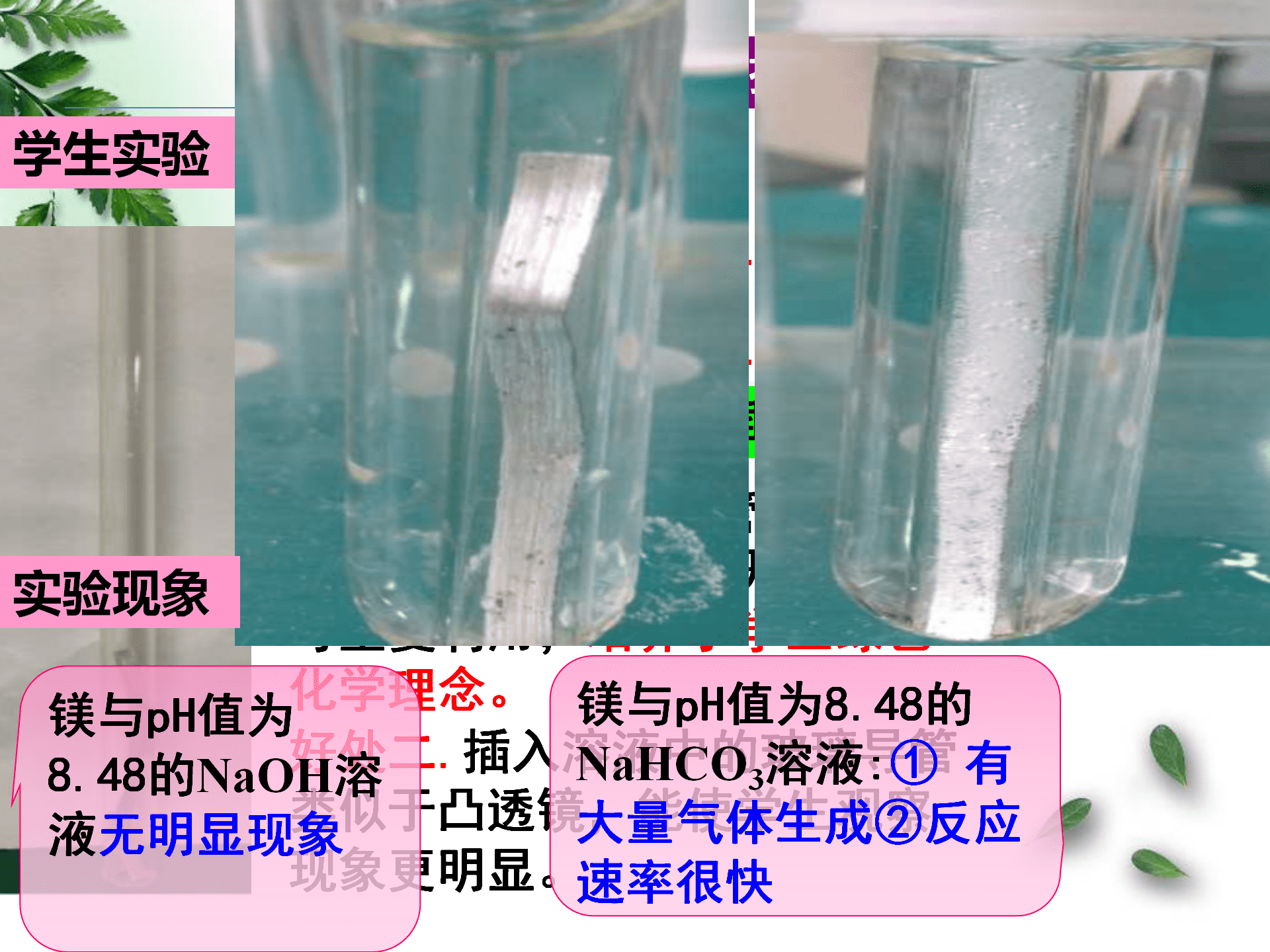 全国高中化学优质课大赛《探秘镁与碳酸氢钠溶液反应的奇特现象》说播课课件