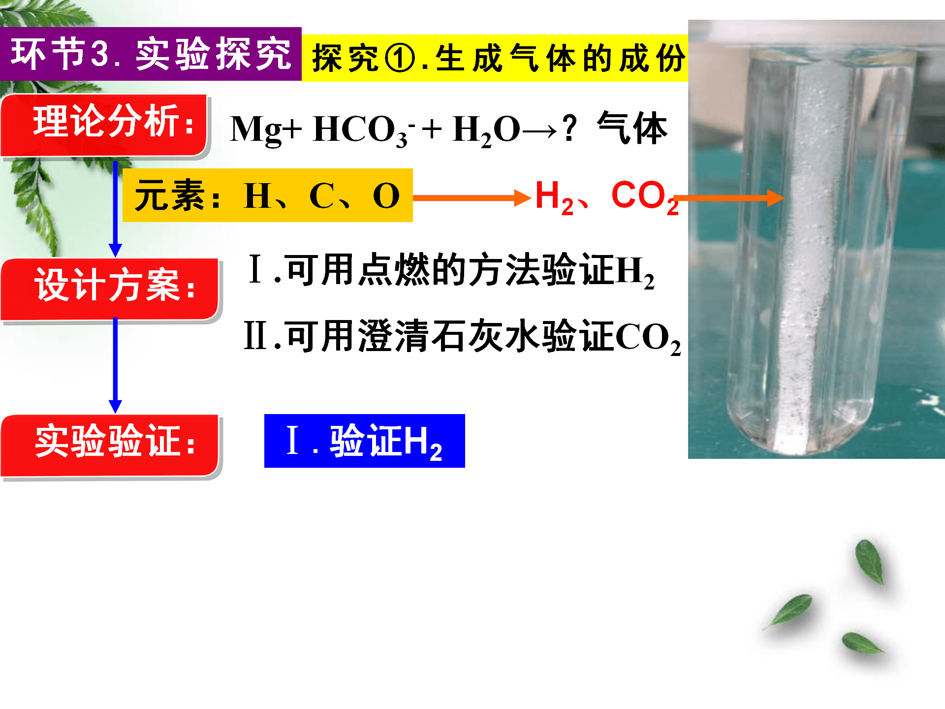 全国高中化学优质课大赛《探秘镁与碳酸氢钠溶液反应的奇特现象》说播课课件