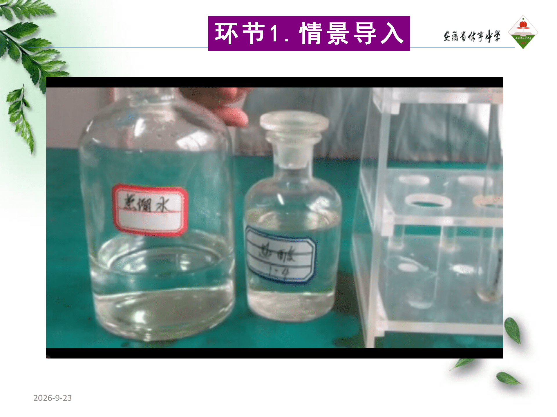 全国高中化学优质课大赛《探秘镁与碳酸氢钠溶液反应的奇特现象》说播课课件
