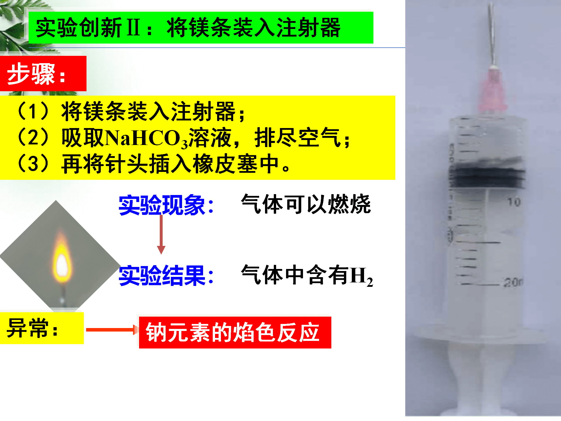 全国高中化学优质课大赛《探秘镁与碳酸氢钠溶液反应的奇特现象》说播课课件