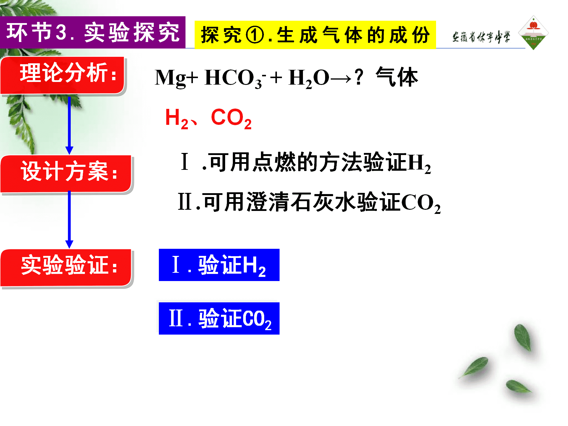 全国高中化学优质课大赛《探秘镁与碳酸氢钠溶液反应的奇特现象》说播课课件