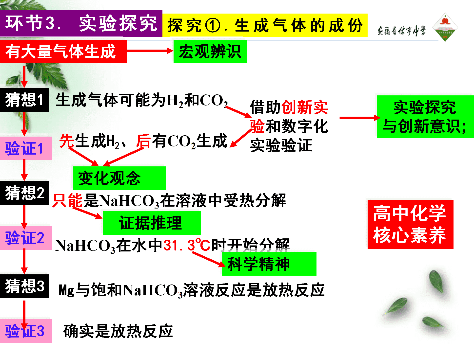 全国高中化学优质课大赛《探秘镁与碳酸氢钠溶液反应的奇特现象》说播课课件