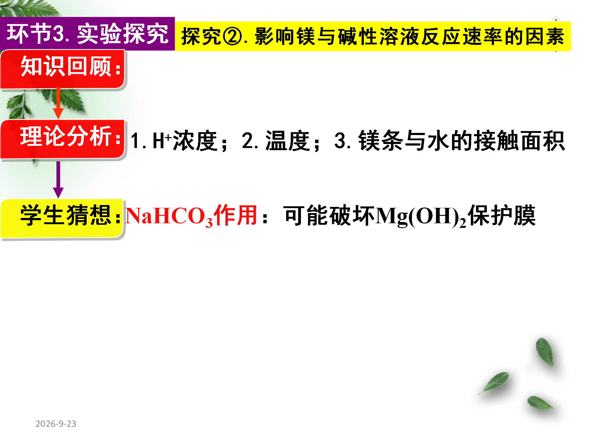 全国高中化学优质课大赛《探秘镁与碳酸氢钠溶液反应的奇特现象》说播课课件