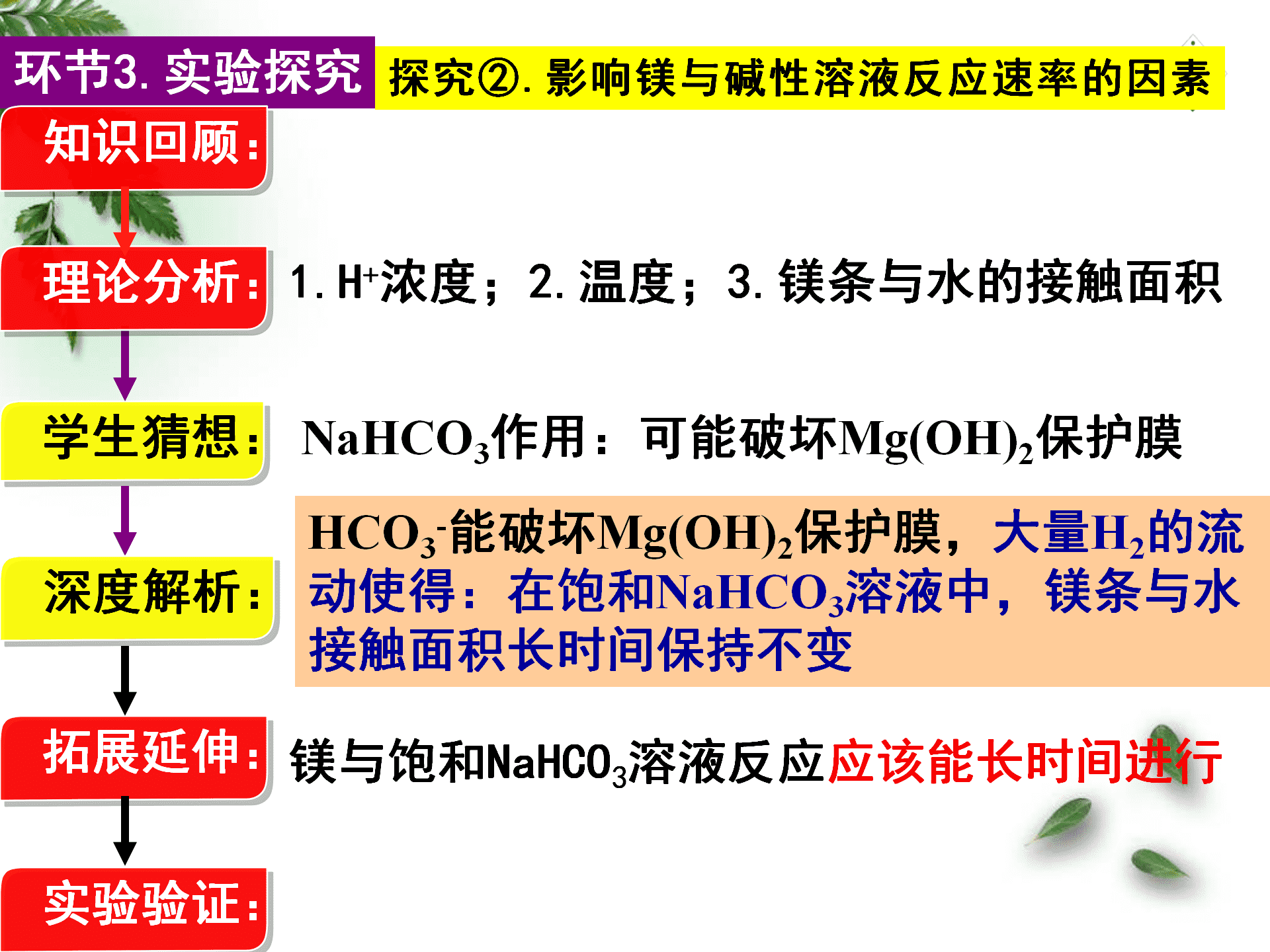 全国高中化学优质课大赛《探秘镁与碳酸氢钠溶液反应的奇特现象》说播课课件