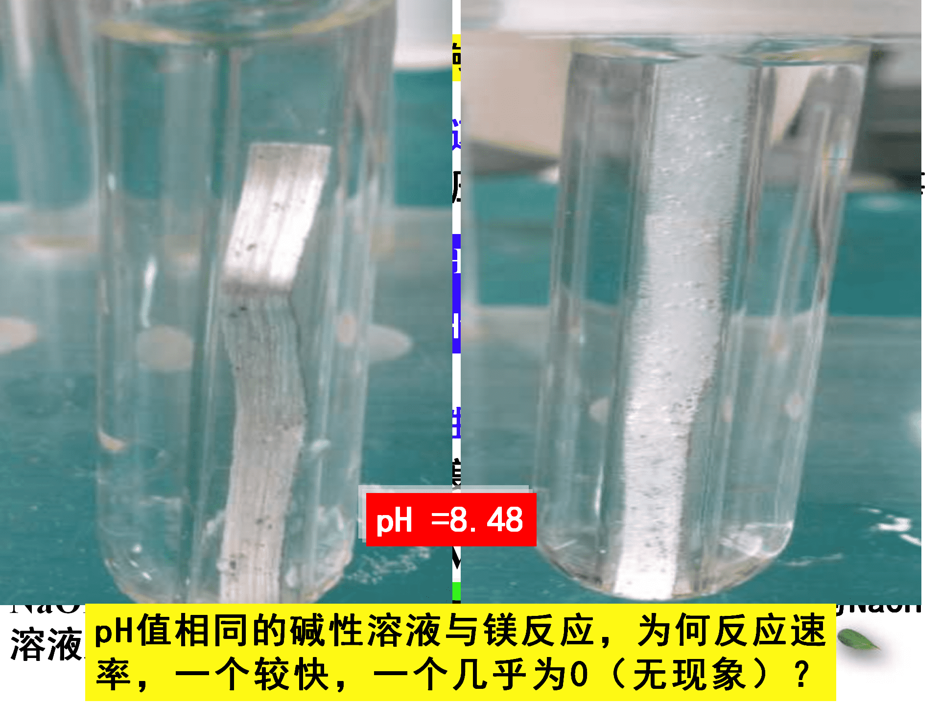 全国高中化学优质课大赛《探秘镁与碳酸氢钠溶液反应的奇特现象》说播课课件