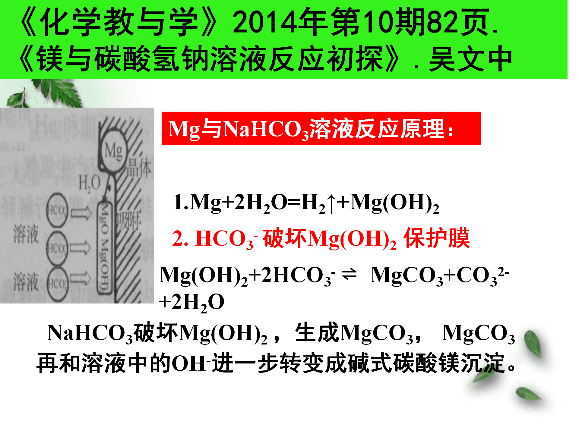 全国高中化学优质课大赛《探秘镁与碳酸氢钠溶液反应的奇特现象》说播课课件