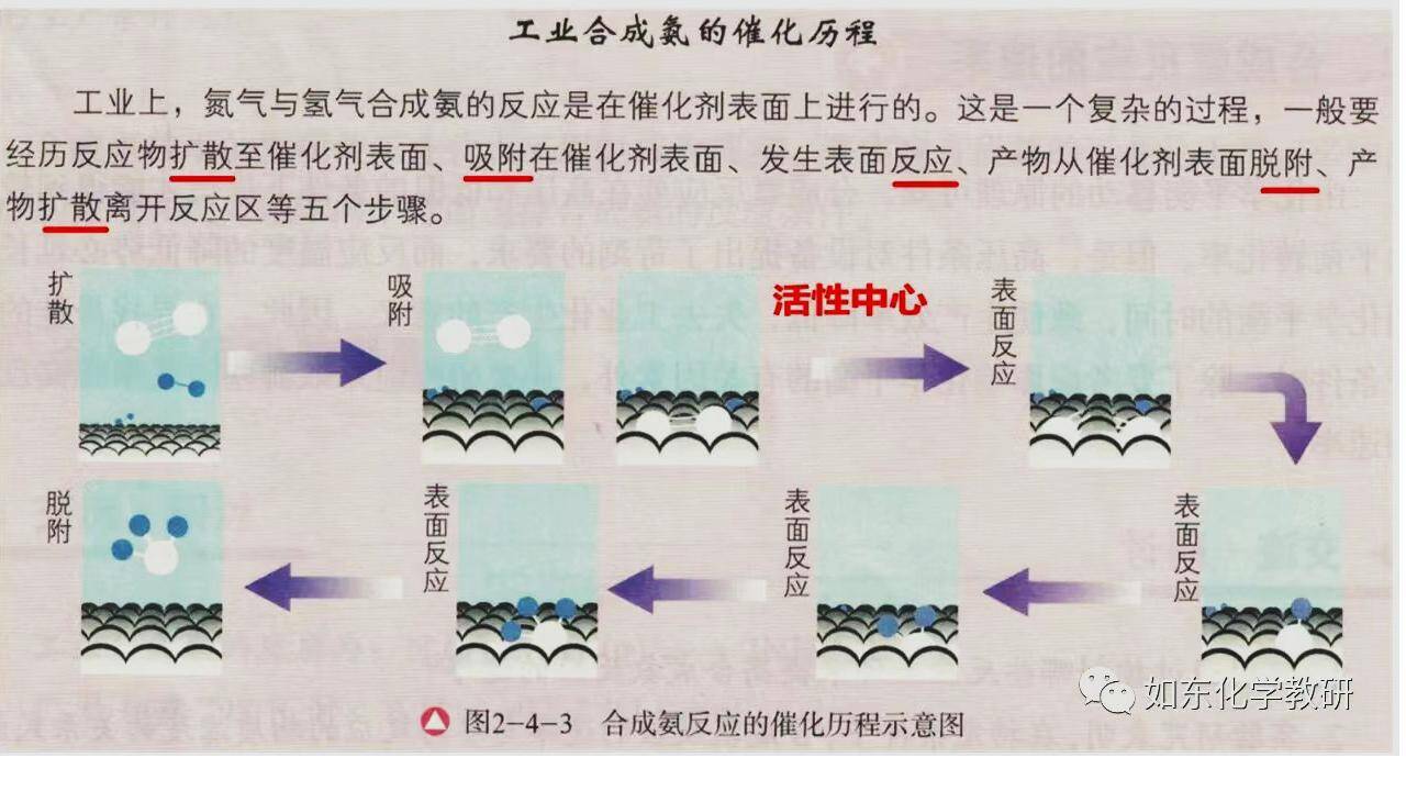 2025届高三化学二轮 《反应机理分析》_25