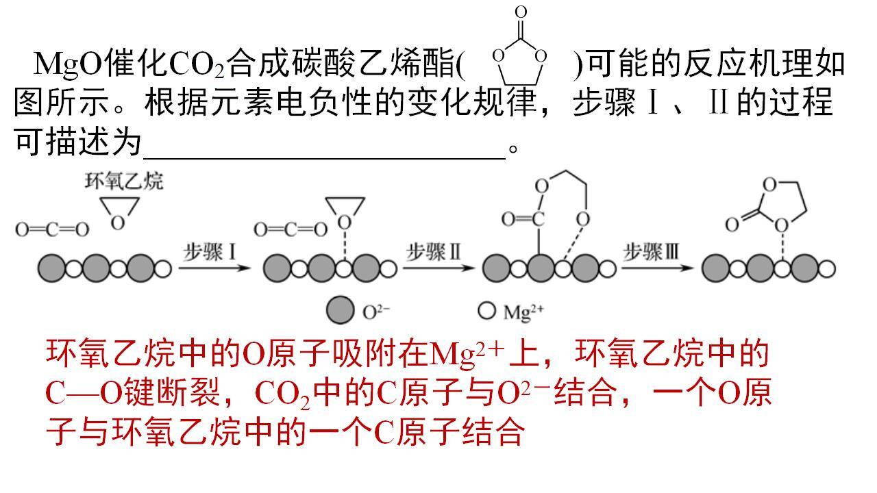 2025届高三化学二轮 《反应机理分析》_05