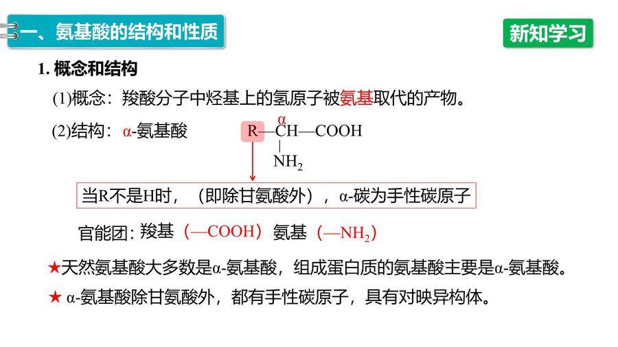 【优质课件】2025高中化学人教版选择性必修3《有机化学基础》第4章第2节《蛋白质》