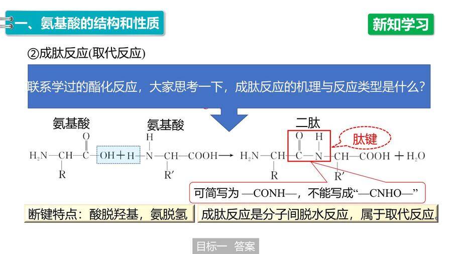 【优质课件】2025高中化学人教版选择性必修3《有机化学基础》第4章第2节《蛋白质》