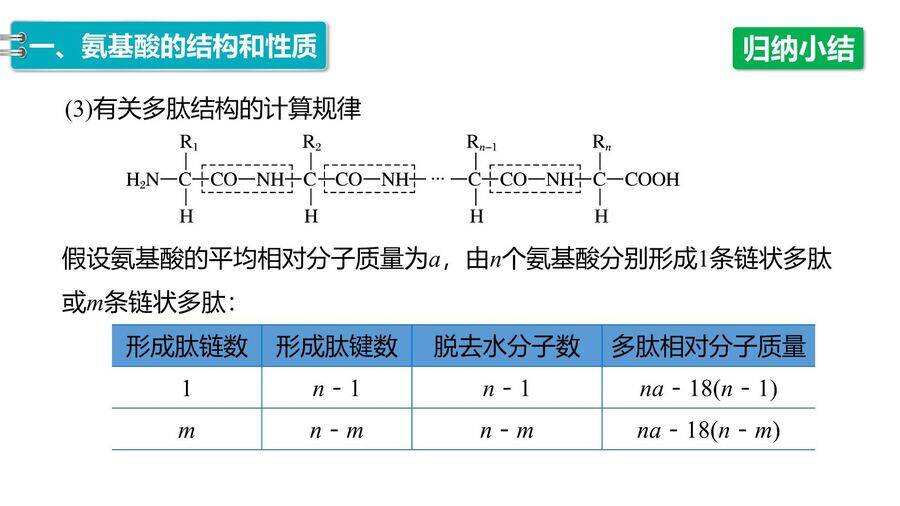 【优质课件】2025高中化学人教版选择性必修3《有机化学基础》第4章第2节《蛋白质》