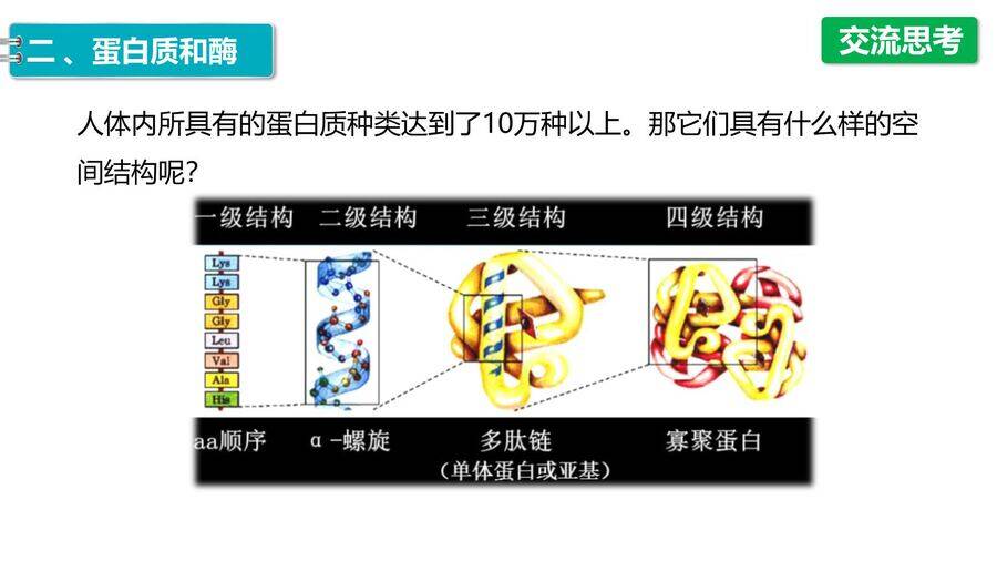 【优质课件】2025高中化学人教版选择性必修3《有机化学基础》第4章第2节《蛋白质》