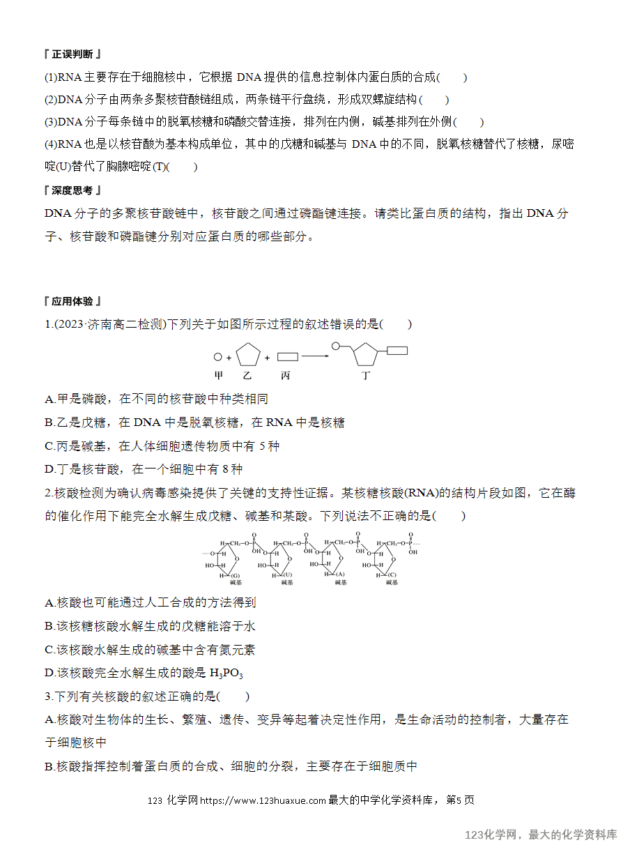 【学案】2025高中化学人教版选择性必修3《有机化学基础》第4章第3节《核酸》