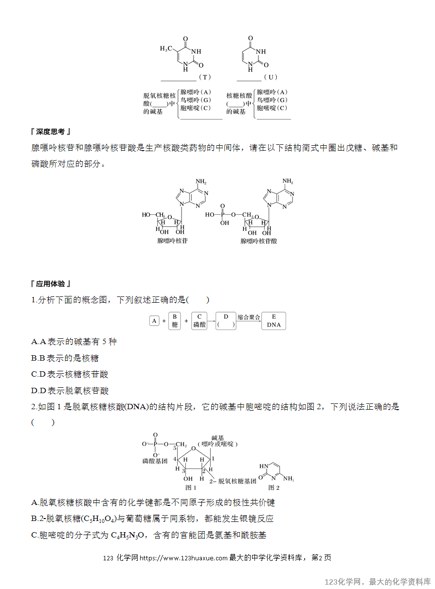 【学案】2025高中化学人教版选择性必修3《有机化学基础》第4章第3节《核酸》