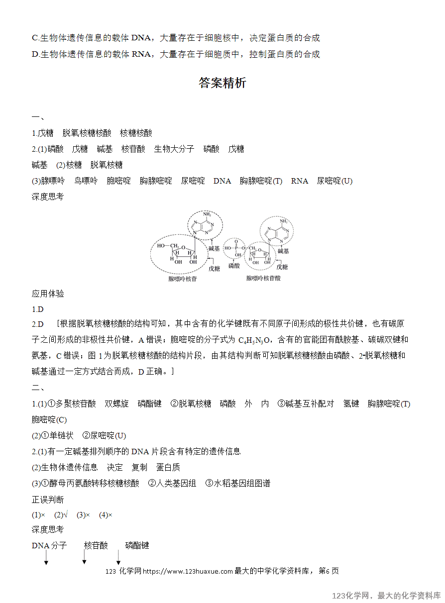 【学案】2025高中化学人教版选择性必修3《有机化学基础》第4章第3节《核酸》
