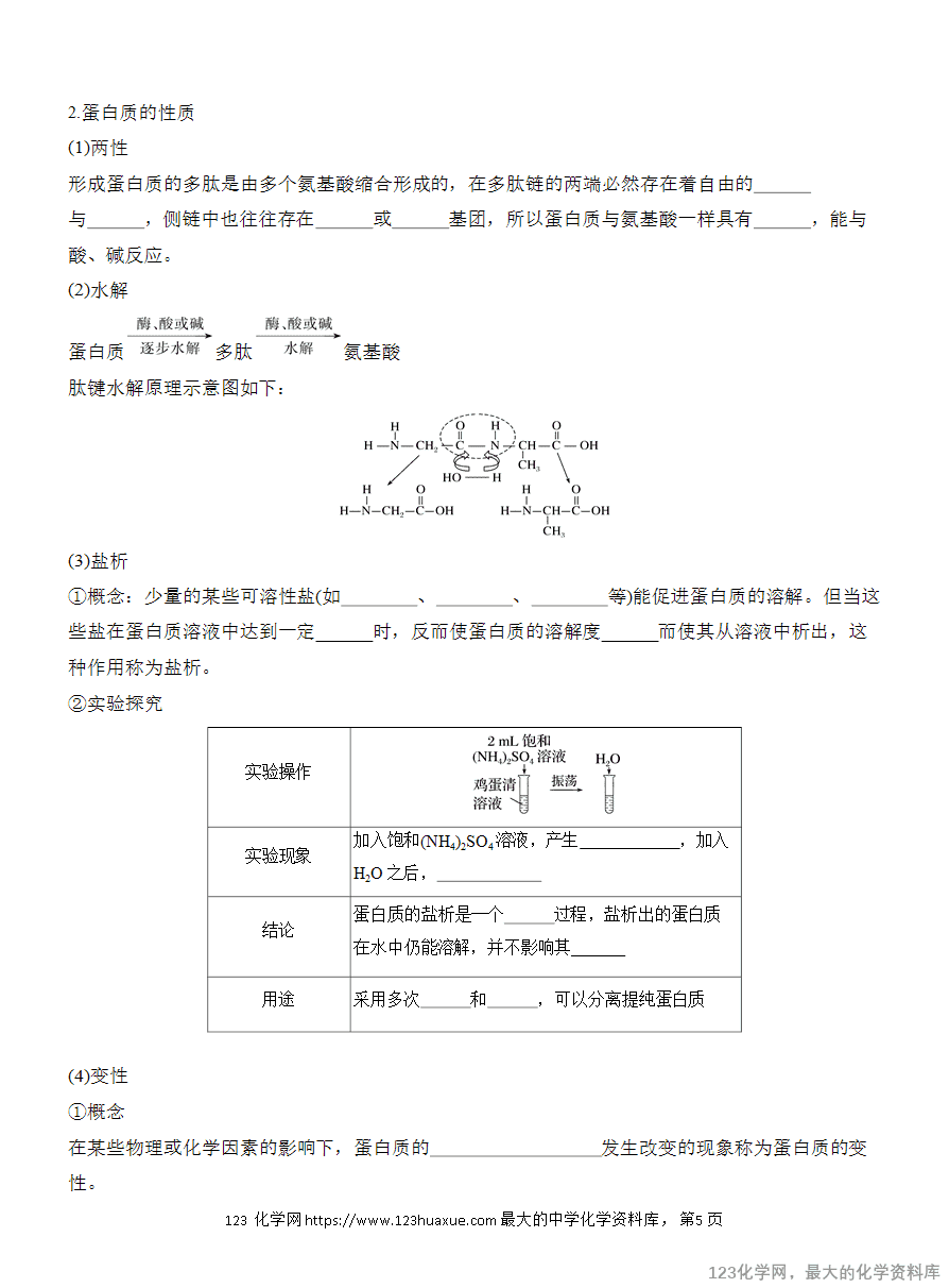 【学案】2025高中化学人教版选择性必修3《有机化学基础》第4章第2节 蛋白质-5 【学案】2025高中化学人教版选择性必修3《有机化学基础》第4章第2节《蛋白质》
