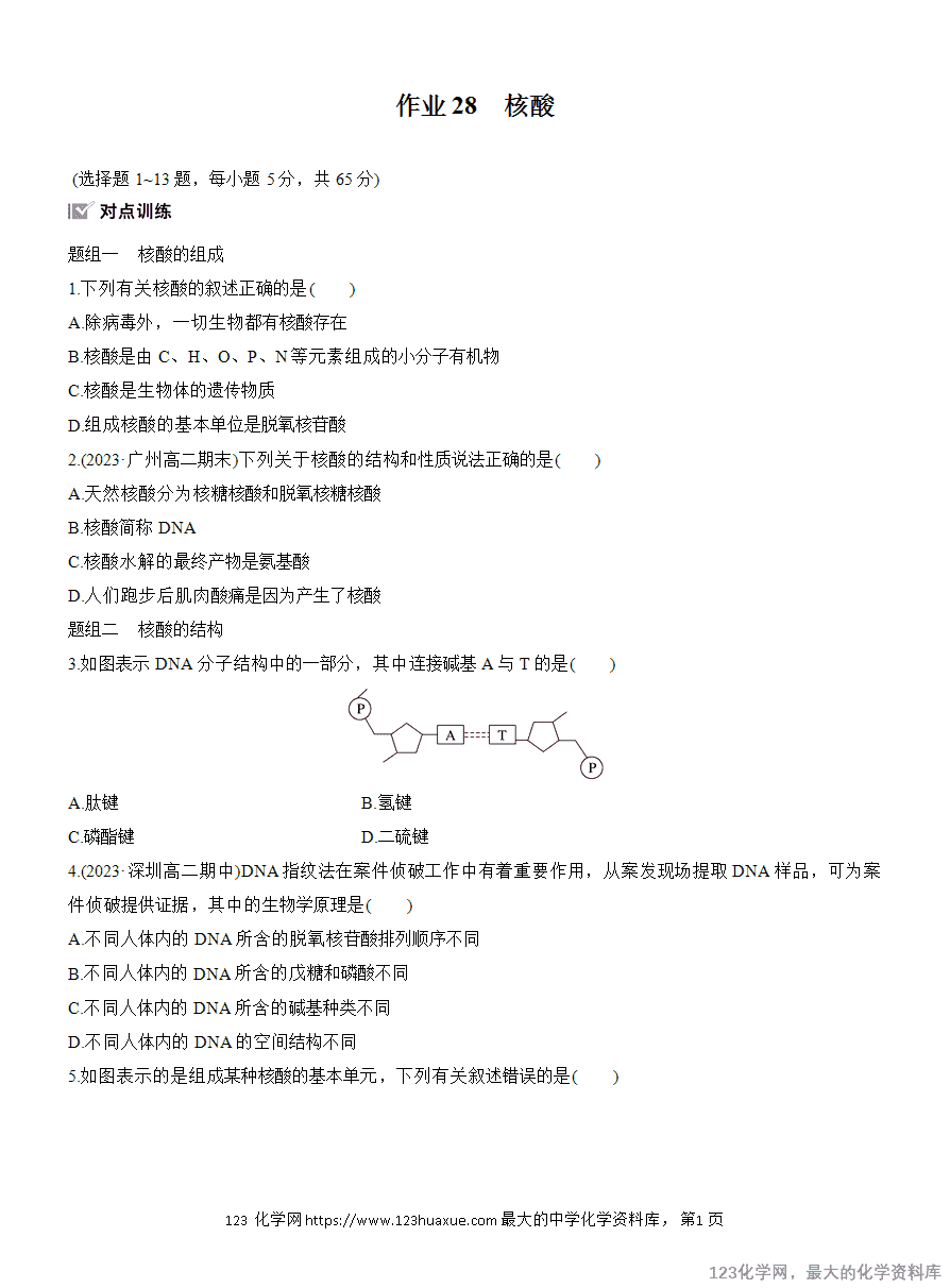 【作业】2025高中化学人教版选择性必修3《有机化学基础》作业28《核酸》