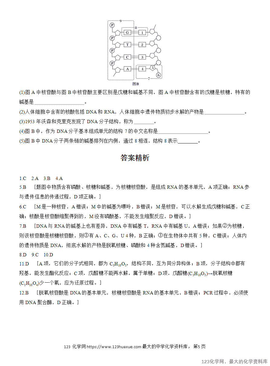 【作业】2025高中化学人教版选择性必修3《有机化学基础》作业28《核酸》