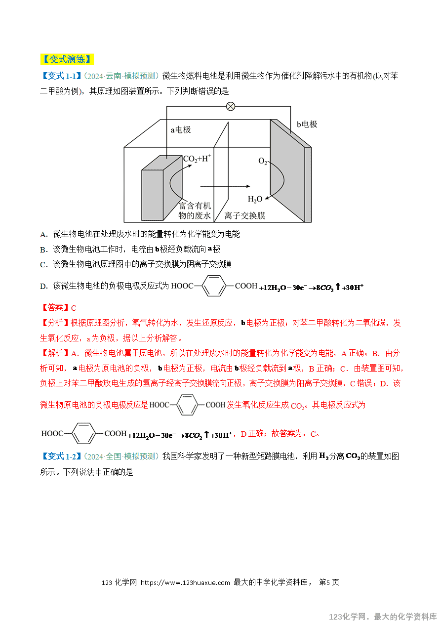 【练习】2025年高考化学二轮复习热点题型归纳与变式演练全国通用题型12 新型电化学装置解析版