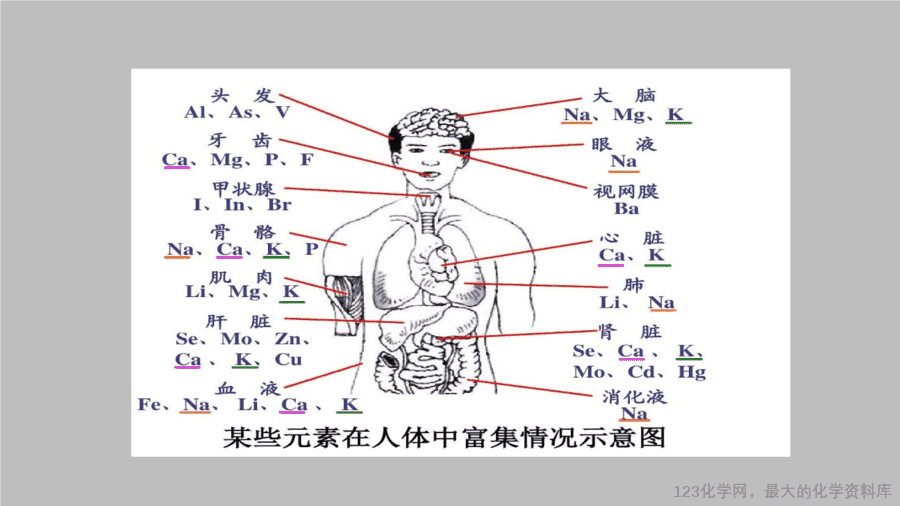 课时28_全部课程_《化学元素与人体健康》-课件-5