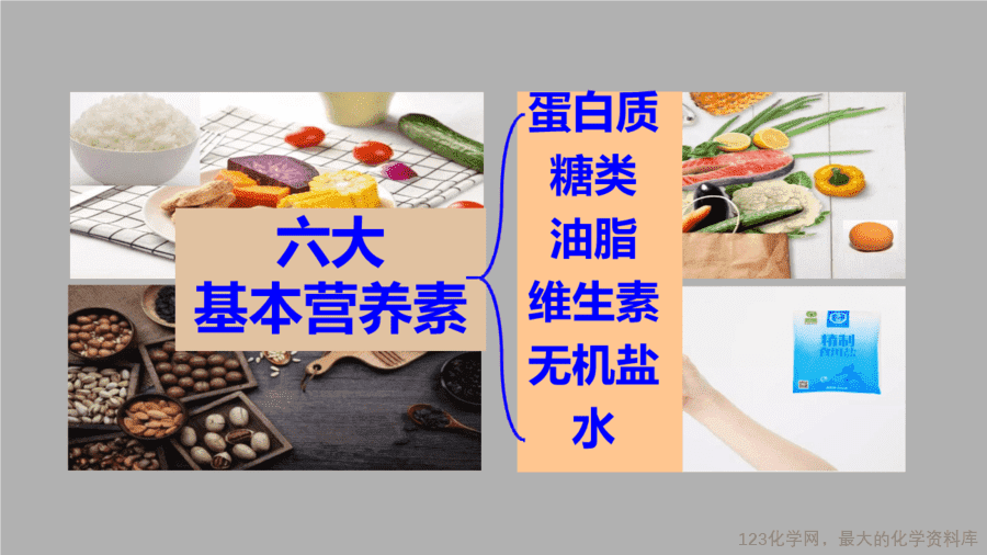 课时27_全部课程_《人类重要的营养物质》-课件-5