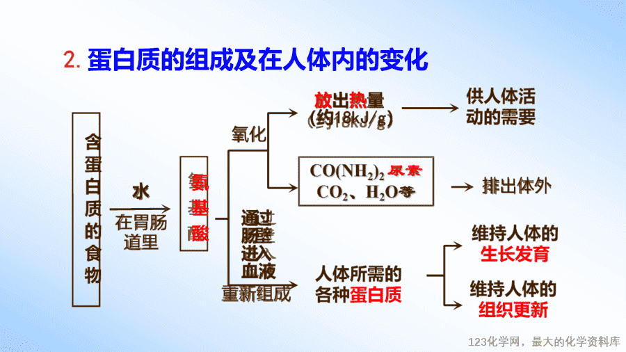 课时27_全部课程_《人类重要的营养物质》-课件-9