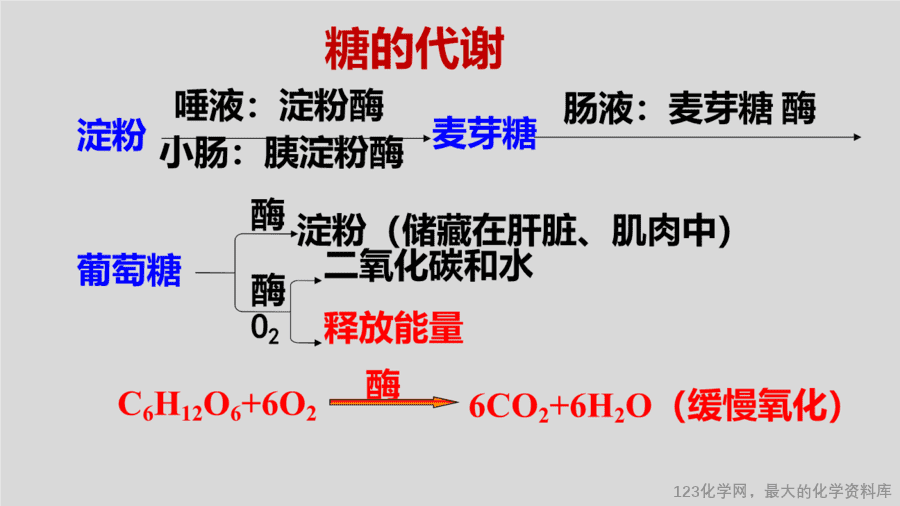 课时27_全部课程_《人类重要的营养物质》-课件-15