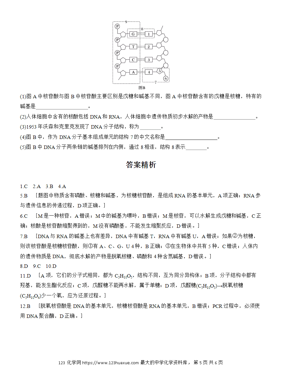 【练习】人教版选择性必修3《有机化学基础》2025版步步高《练透》作业28《核酸》word版含答案