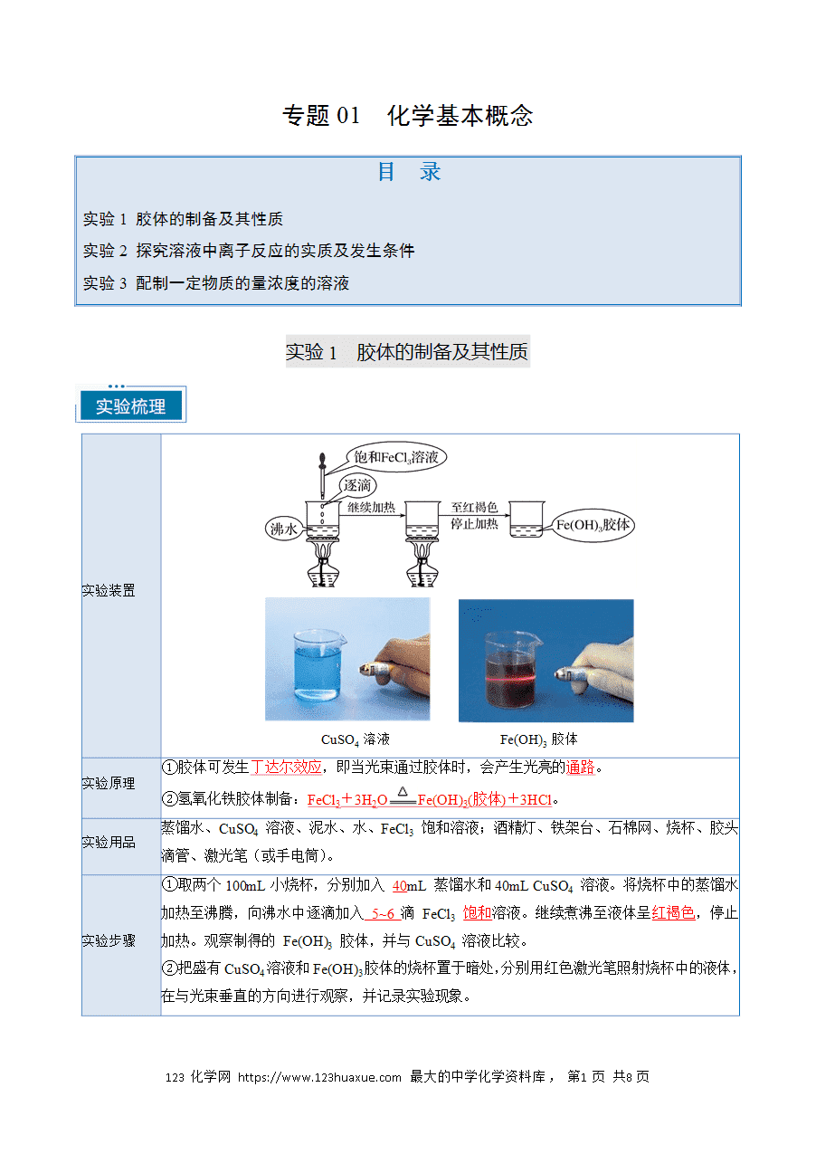 【精品学案】2025年高考化学教材重点实验复习清单专题01 化学基本概念（教师版）