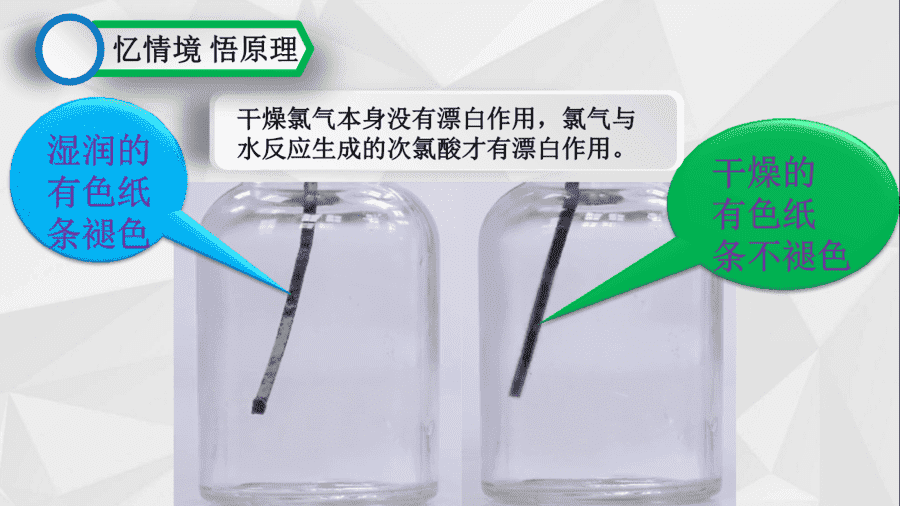 【说播课】高中化学说课比赛《氯气的性质》兖州区第一中学 蔡贝贝