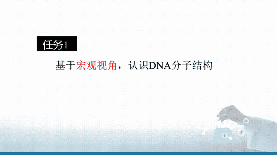 【课件+学案+教案+作业】优质课人教版选择性必修3《有机化学基础》第四章第三节《核酸》