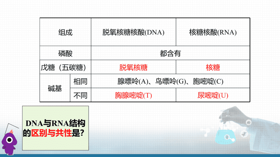 【课件+学案+教案+作业】优质课人教版选择性必修3《有机化学基础》第四章第三节《核酸》