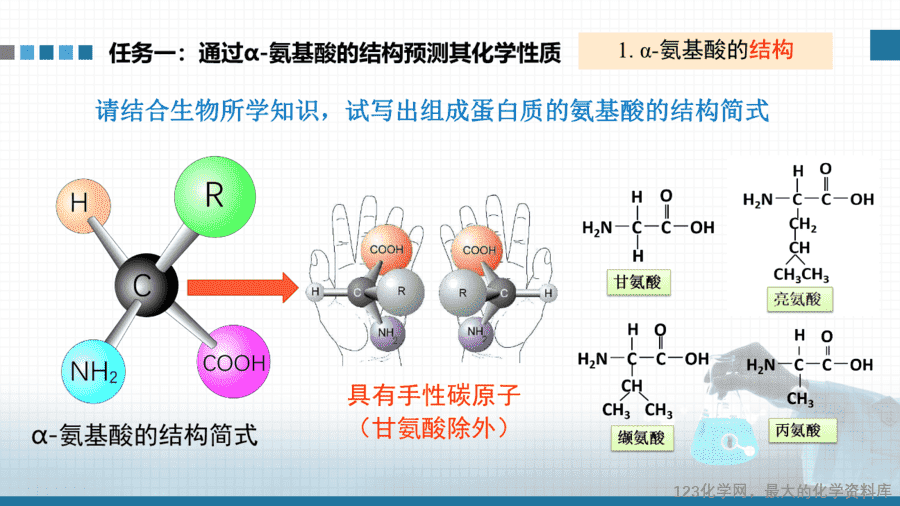 【课件+教案+学案+作业】优质课人教版选择性必修3《有机化学基础》第四章第二节《氨基酸、蛋白质、酶》