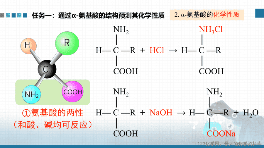 【课件+教案+学案+作业】优质课人教版选择性必修3《有机化学基础》第四章第二节《氨基酸、蛋白质、酶》