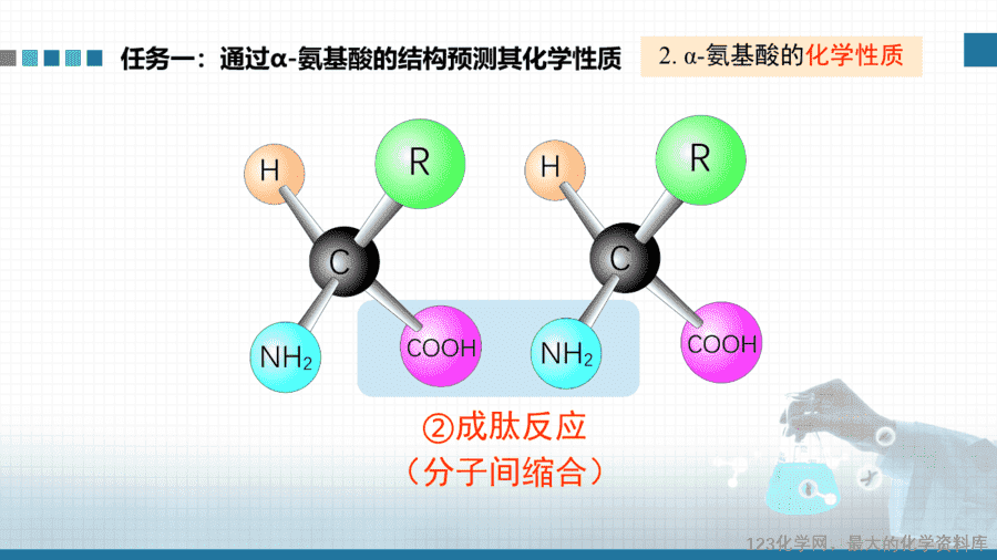 【课件+教案+学案+作业】优质课人教版选择性必修3《有机化学基础》第四章第二节《氨基酸、蛋白质、酶》