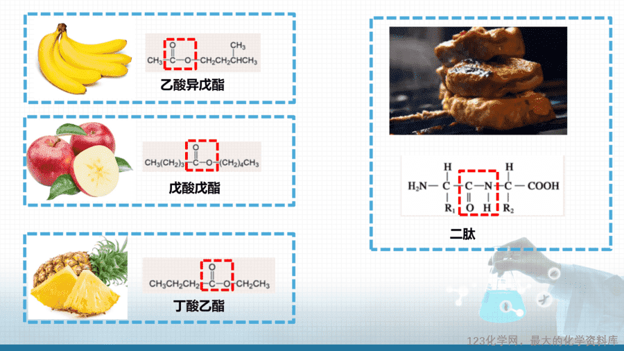 【课件+教案+学案+作业】优质课人教版选择性必修3《有机化学基础》第三章第四节第2课时《羧酸衍生物》