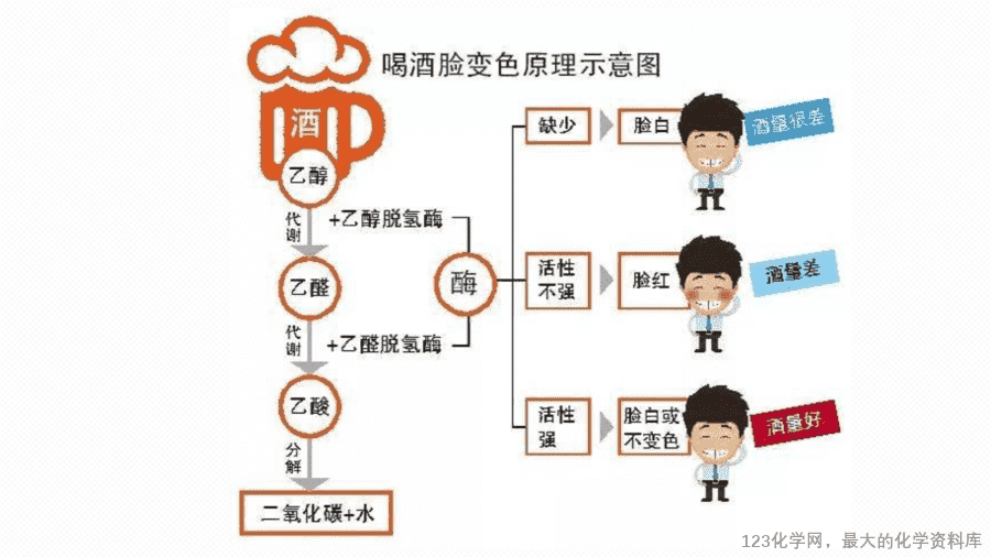 【课件+教案+学案+作业】优质课人教版选择性必修3《有机化学基础》第三章第二节第1课时《醇》