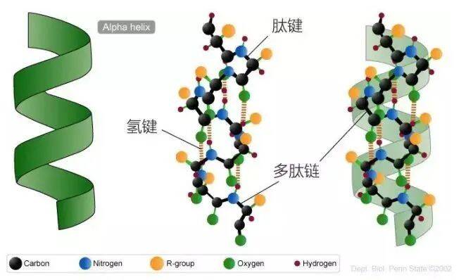 氢键全方位详细介绍