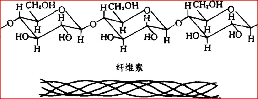 淀粉和纤维素结构有什么差异？