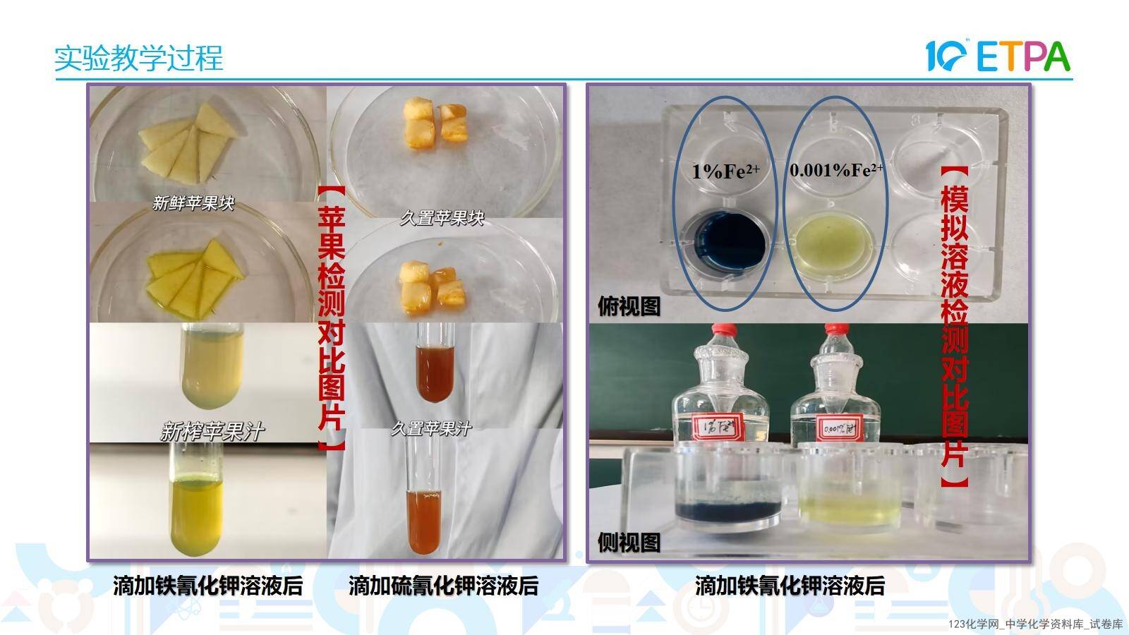第十届全国中小学化学实验教学说课活动《苹果褐变原因的实验探究》课件下载唐山市第八中学