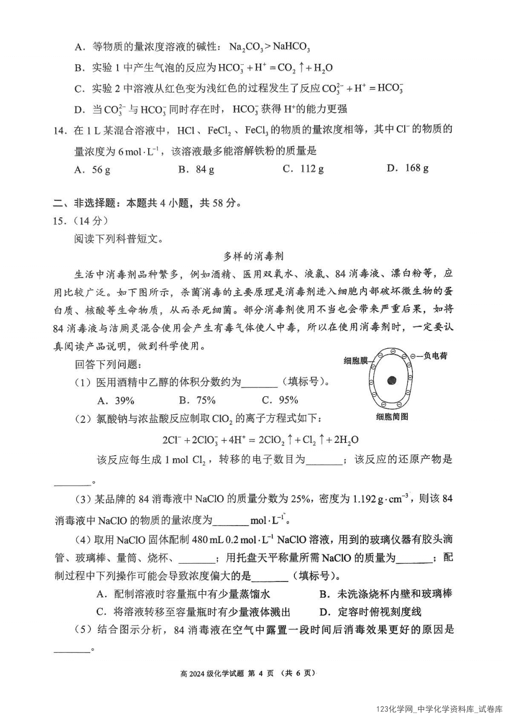 四川省川南川东北地区名校2024-2025学年高一上学期1月期末联考化学试卷含答案