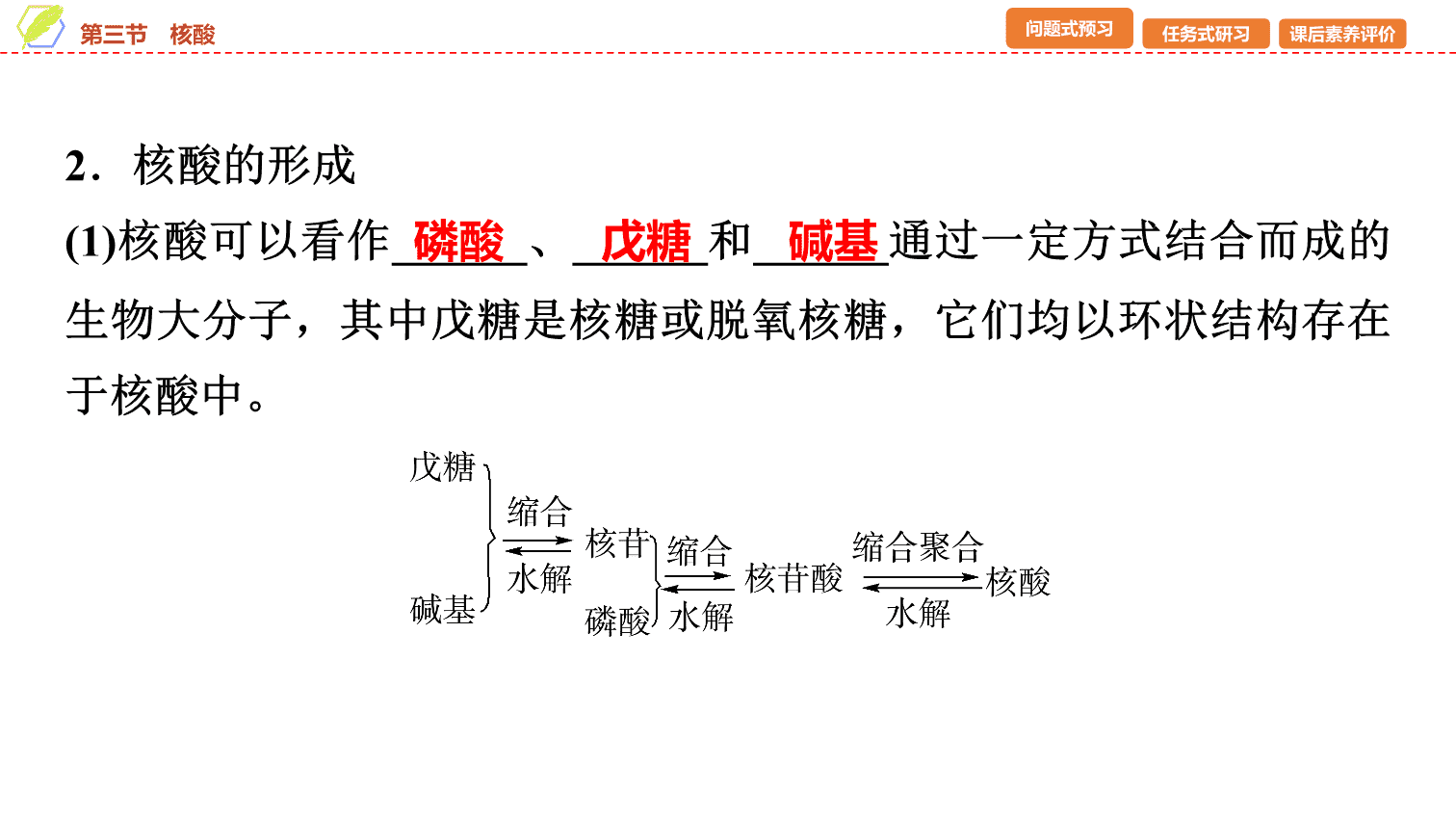 【课件】2026年春湖北省长江作业本高中化学人教版《有机化学基础》18 第四章第三节核酸